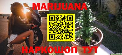 шишки Ирбит