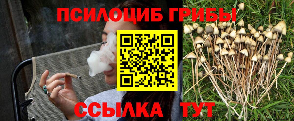 Галлюциногенные грибы MAGIC MUSHROOMS Ленинск-Кузнецкий