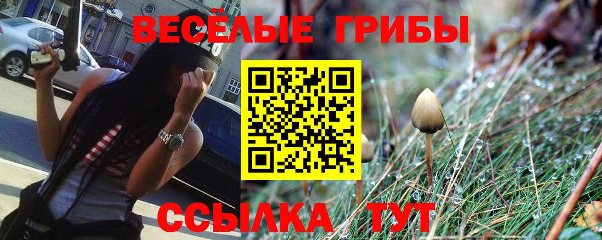 Ленинск-Кузнецкий  купить наркотики сайты  Вход с VPN  Псилоцибиновые грибы GOLDEN TEACHER 